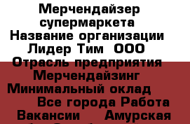 Мерчендайзер  супермаркета › Название организации ­ Лидер Тим, ООО › Отрасль предприятия ­ Мерчендайзинг › Минимальный оклад ­ 25 000 - Все города Работа » Вакансии   . Амурская обл.,Октябрьский р-н